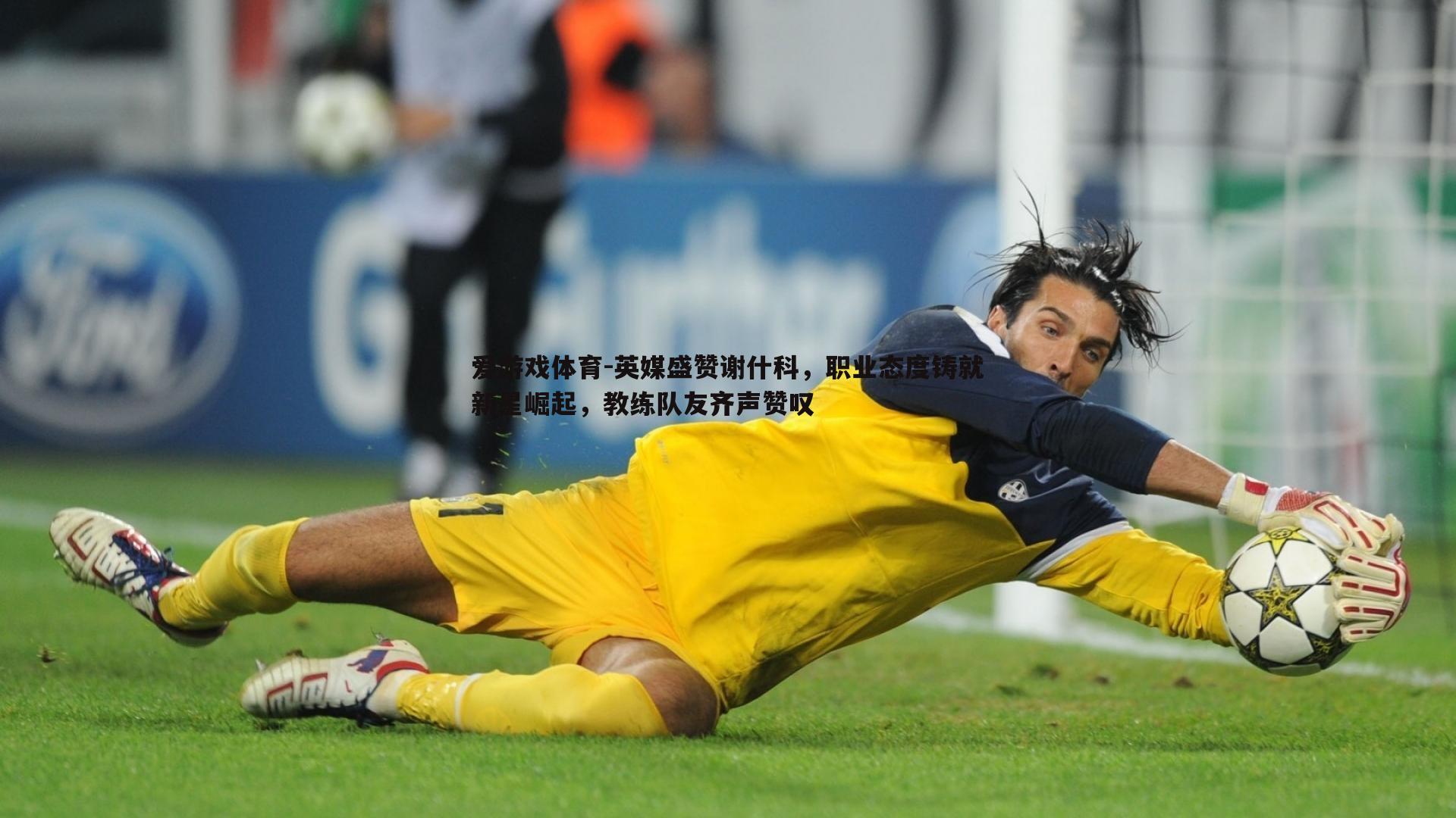 英媒盛赞谢什科，职业态度铸就新星崛起，教练队友齐声赞叹